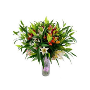 Stylish Lilies