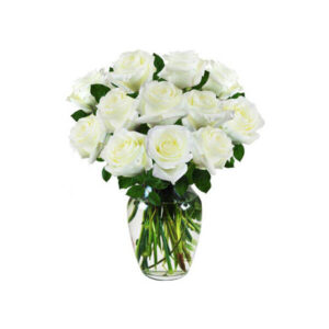 One Dozen White Roses