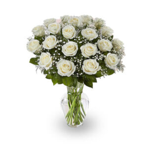 Two Dozen White Roses 1